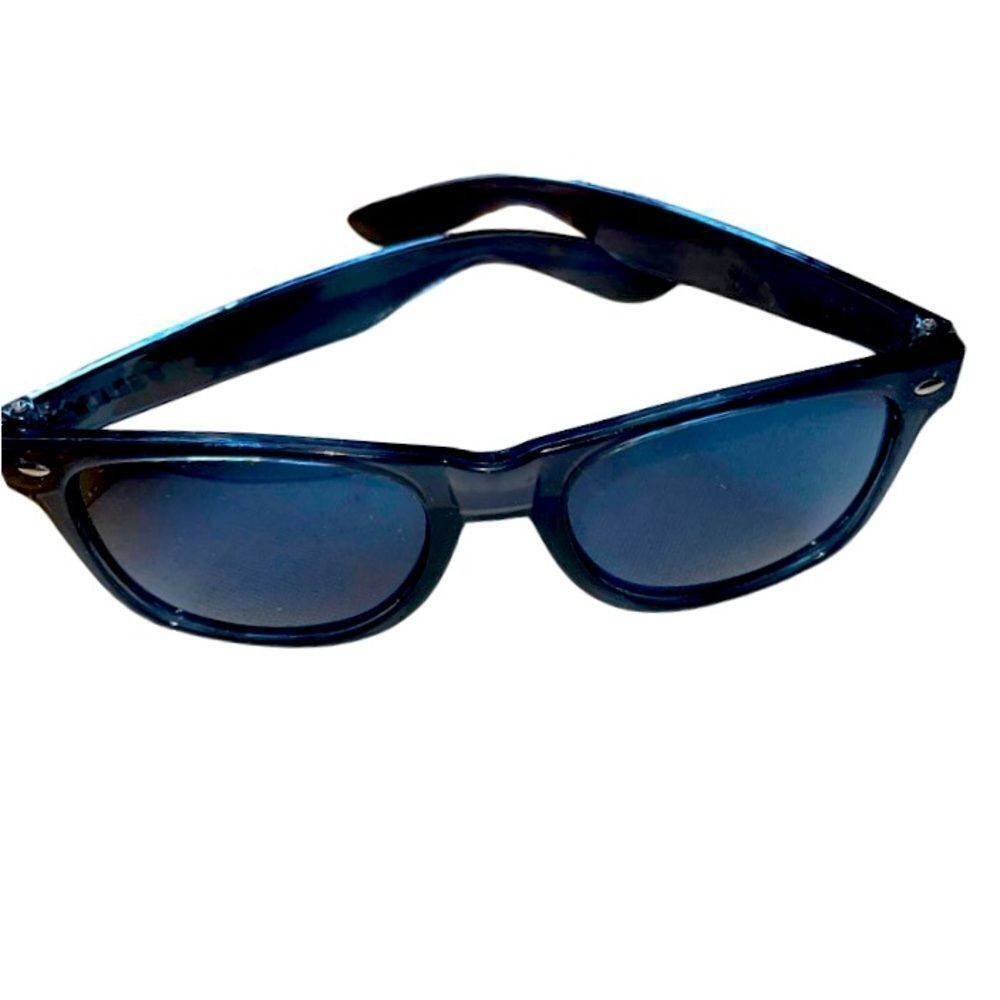 Classic Wayfarer Style Sunglasses